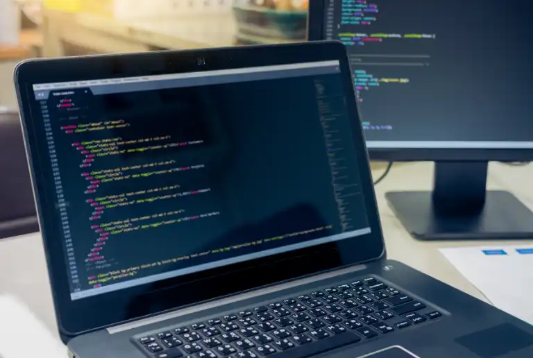 Web Development